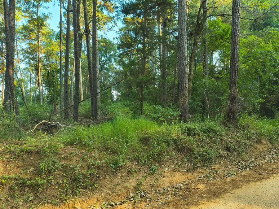 tbd County Line Road, Livingston, TX 77351 - #2
