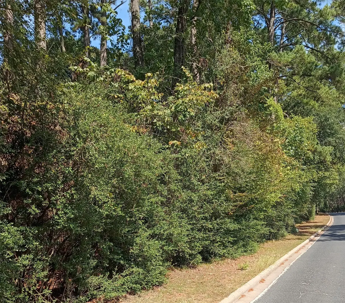 124 Brook Hollow Drive, Huntsville, TX 77340 - #1