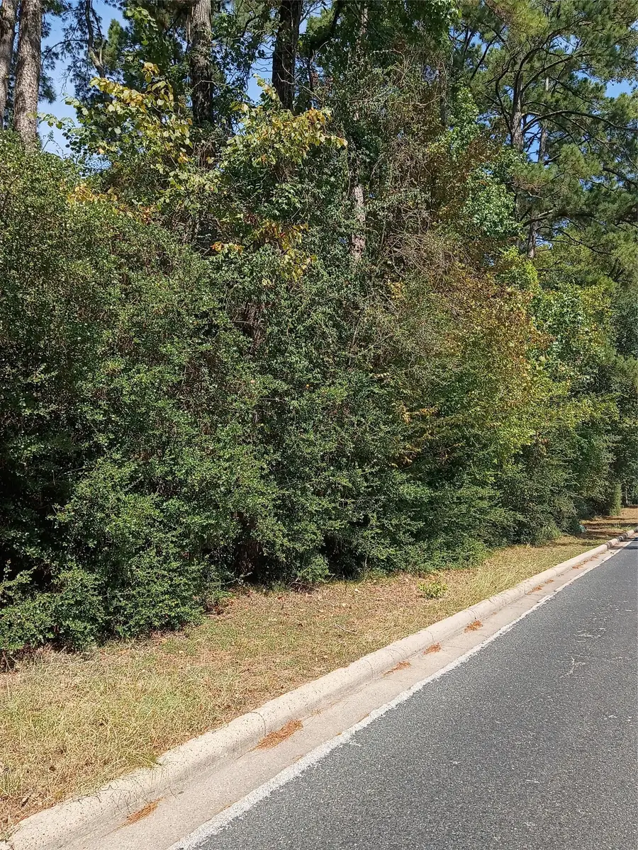 124 Brook Hollow Drive, Huntsville, TX 77340 - #3