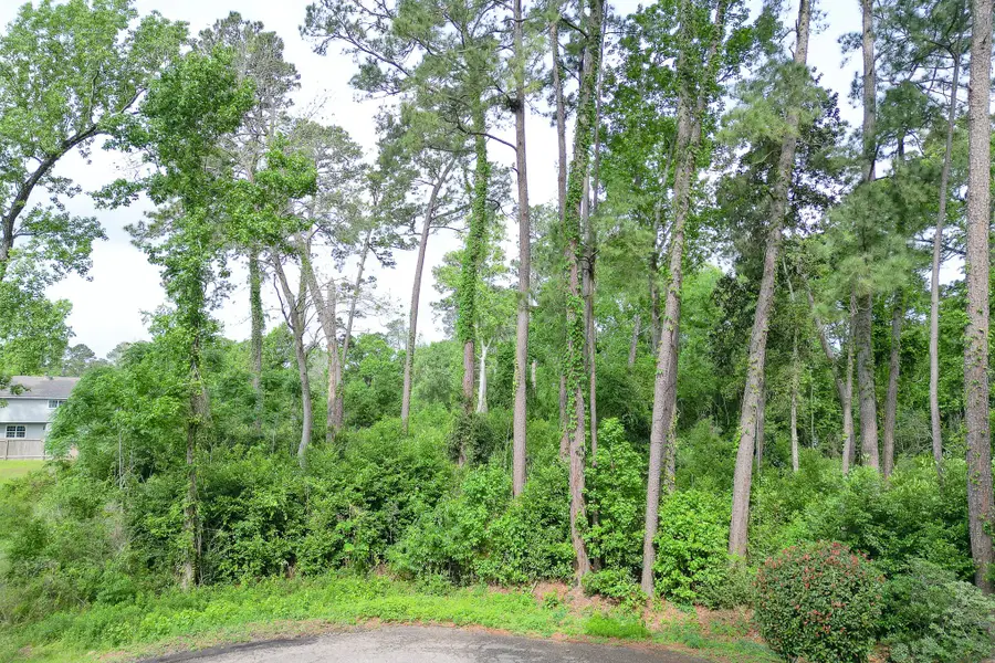 0 Roanoke Drive, Conroe, TX 77302 - #3