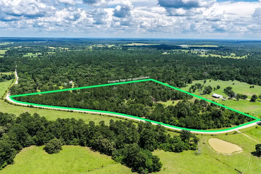 691 Bishop Road, Huntsville, TX 77320 - #3