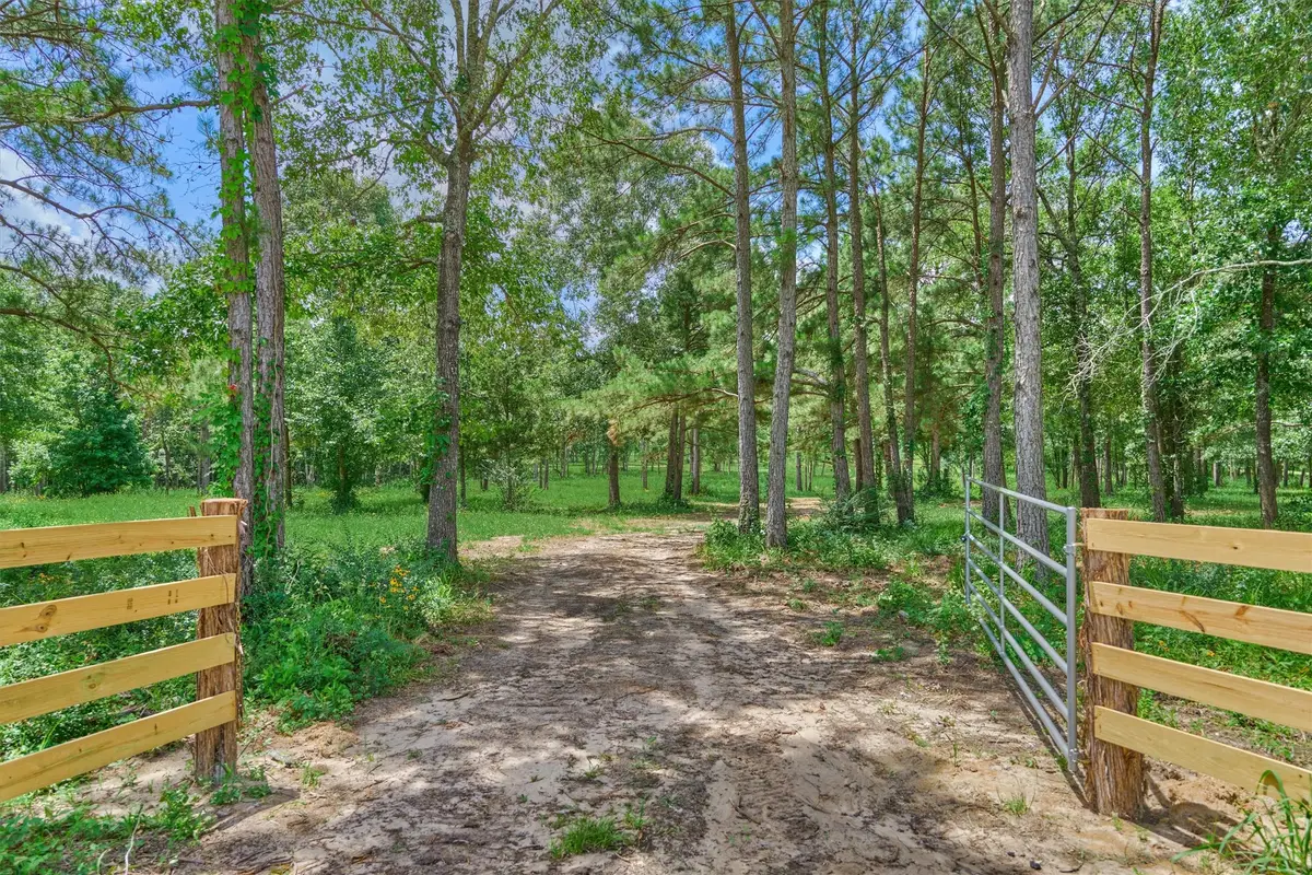 Tract A Bailey Grove Road, Montgomery, TX 77356 - #1