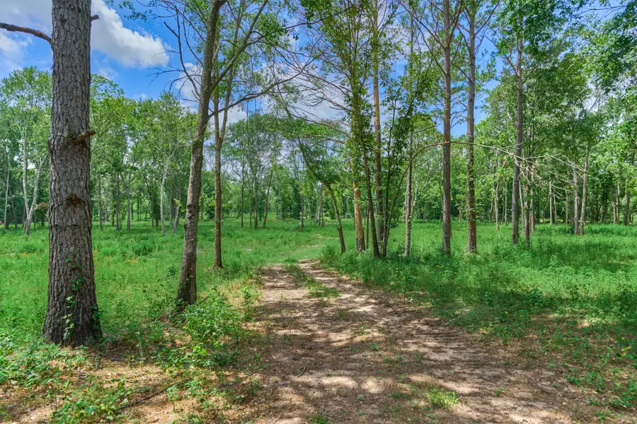 Tract A Bailey Grove Road, Montgomery, TX 77356 - #3