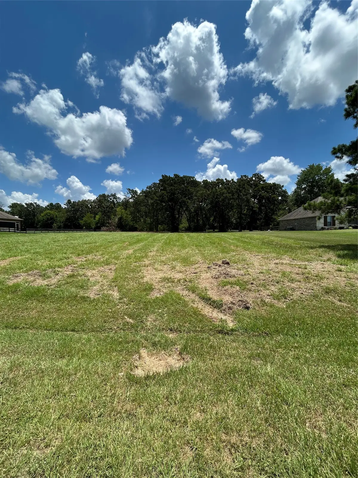 1678 Opal Trail, Willis, TX 77378 - #1