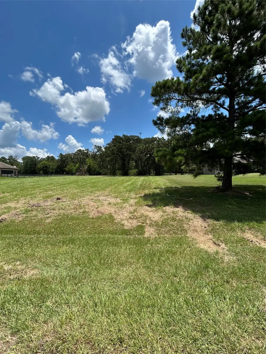 1678 Opal Trail, Willis, TX 77378 - #2