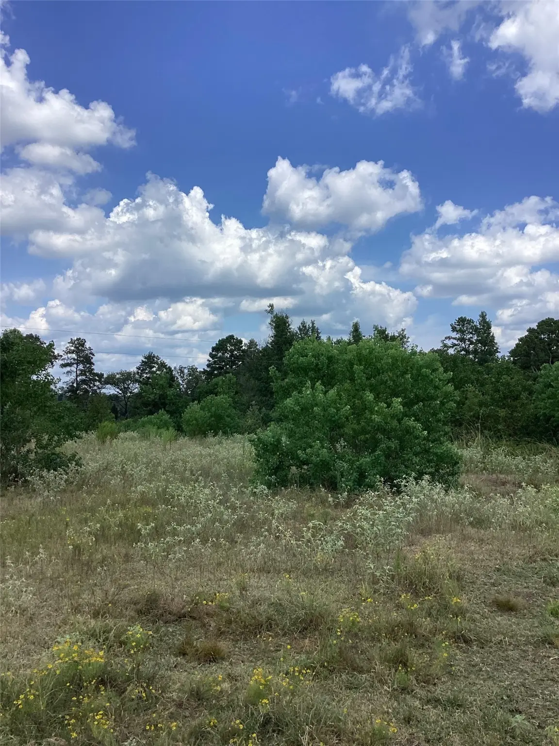 0 County Road 288, Garrison, TX 75946 - Image #1