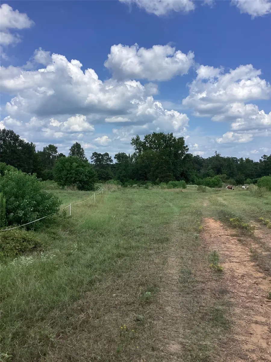 0 County Road 288, Garrison, TX 75946 - Image #2