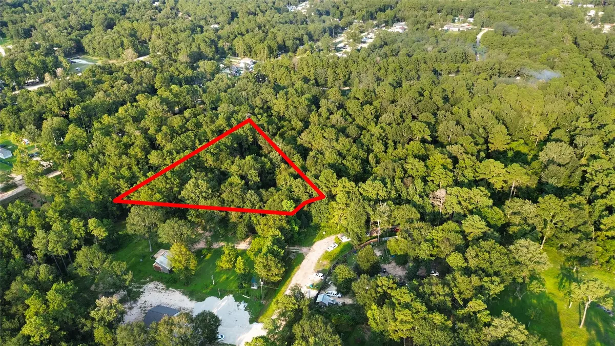 25973 Sussex, New Caney, TX 77357 - #1