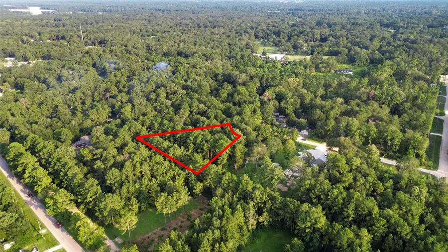 25973 Sussex, New Caney, TX 77357 - #2