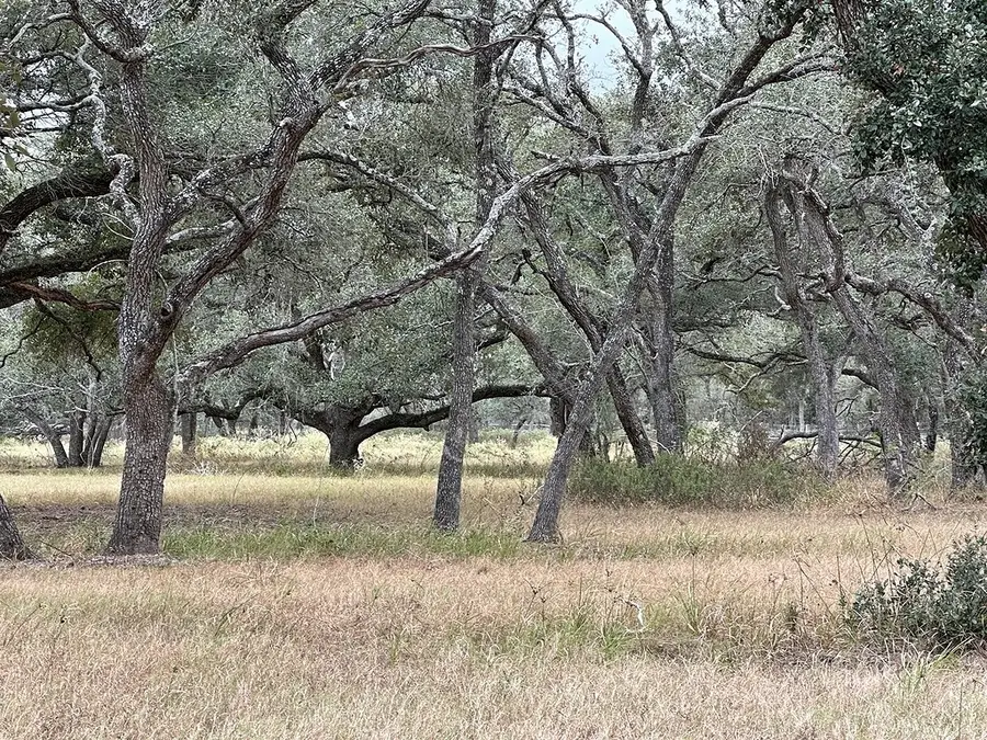 1482 Ramsey Road, Alleyton, TX 78935 - Image #3