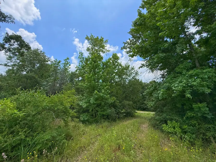 6 ac Cr 2012, Centerville, TX 75833 - #3
