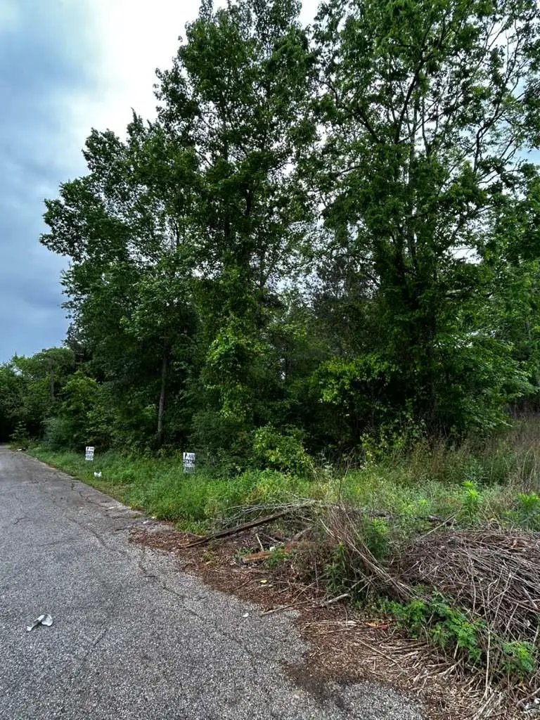 939 Avenue J Pl, Conroe, TX 77301 - #3