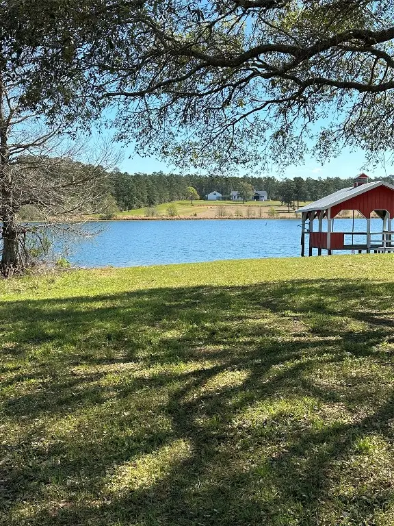 Lot 46 Lakeland Drive, Hillister, TX 77624 - #2