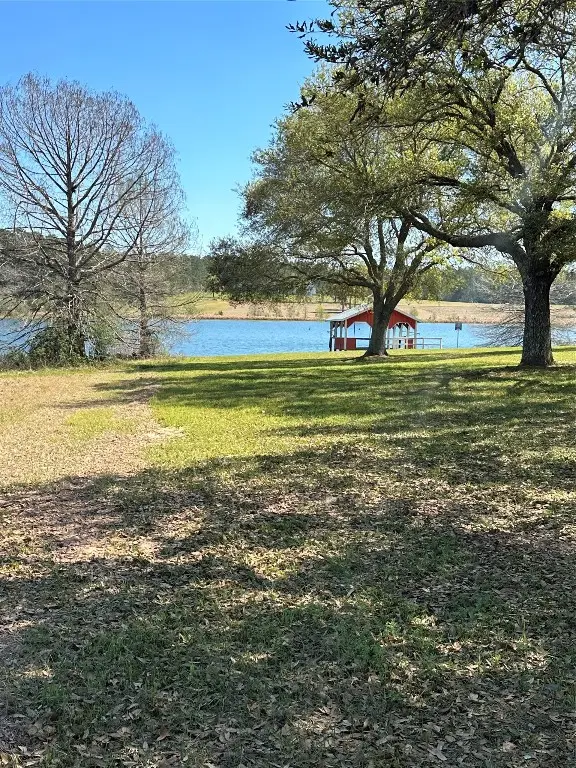 Lot 46 Lakeland Drive, Hillister, TX 77624 - #3