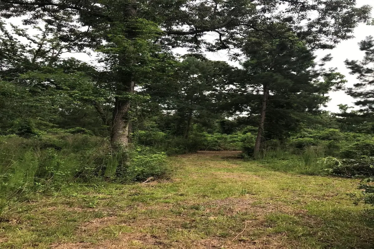 26150 Grand Pines Road, Magnolia, TX 77355 - Image #1