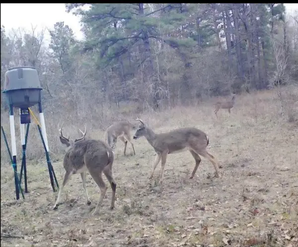 0 Archie Road, Huntsville, TX 77340