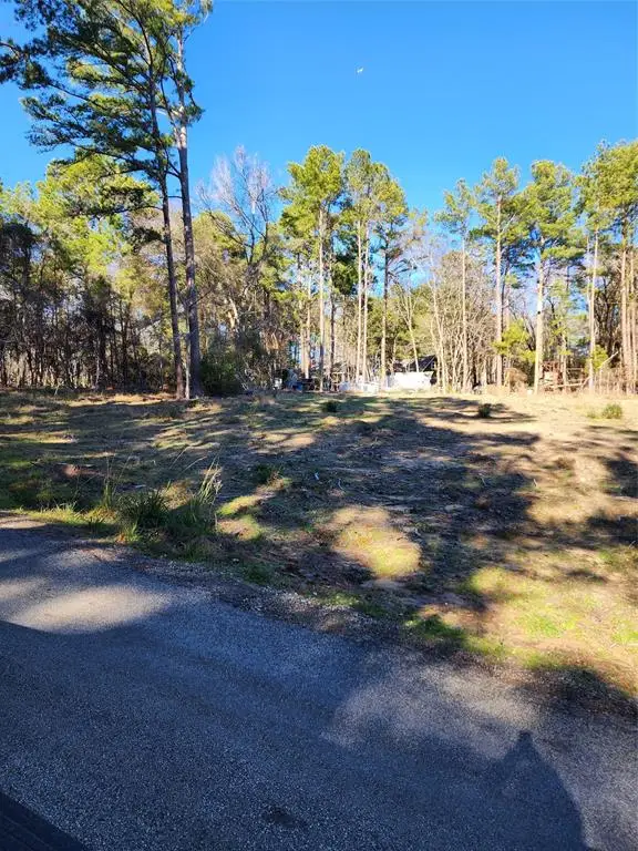 Lots 428 & 429 Echo Hills Lane, Livingston, TX 77351 - Image #2