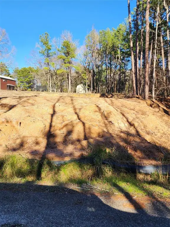 Lots 428 & 429 Echo Hills Lane, Livingston, TX 77351 - Image #3