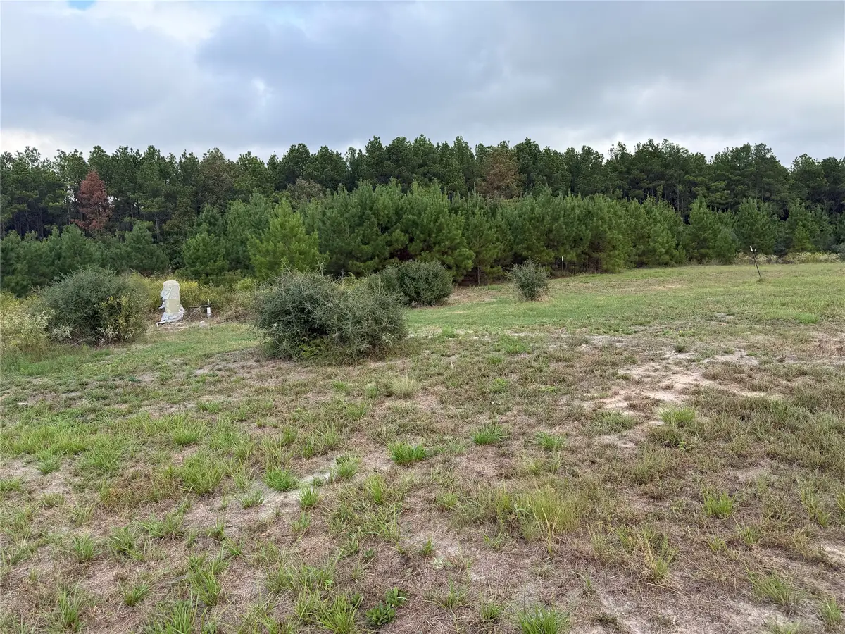 9420 Fm 355, Trinity, TX 75862 - #1