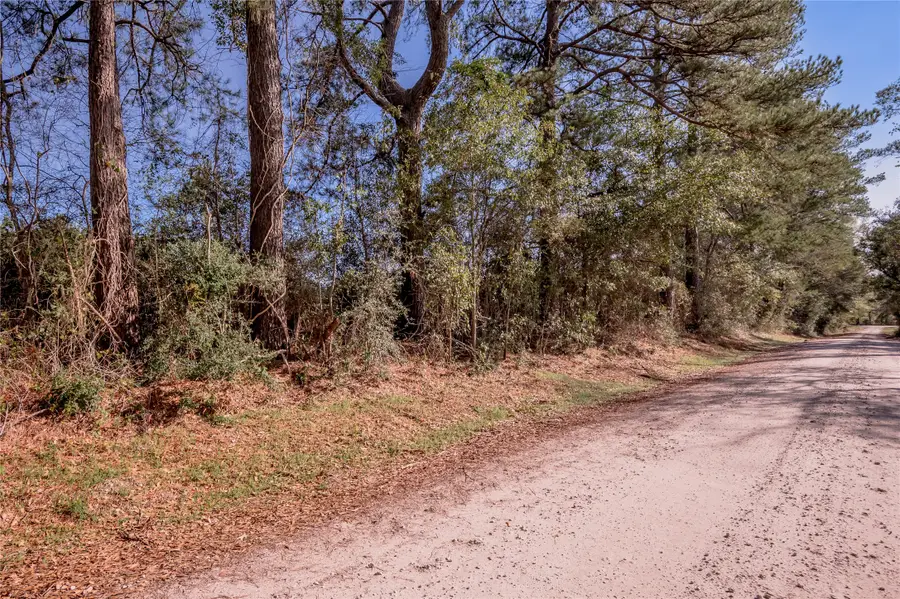 262 Bill Jones Road, Groveton, TX 75845 - Image #2