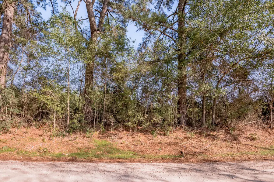 262 Bill Jones Road, Groveton, TX 75845 - Image #3