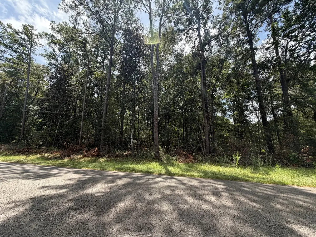 0 W Black Gum Drive, Village Mills, TX 77663 - #1