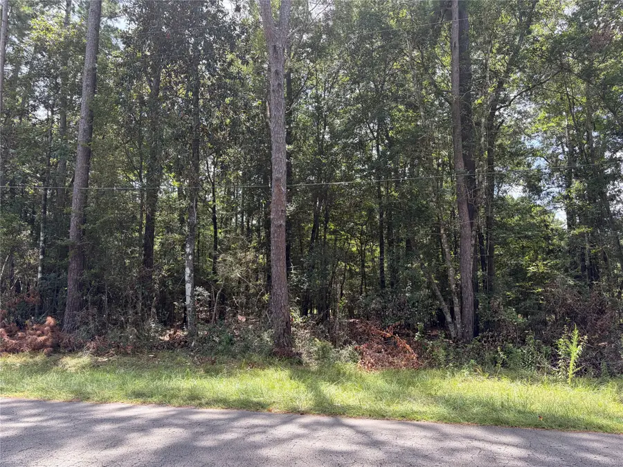 0 W Black Gum Drive, Village Mills, TX 77663 - #2