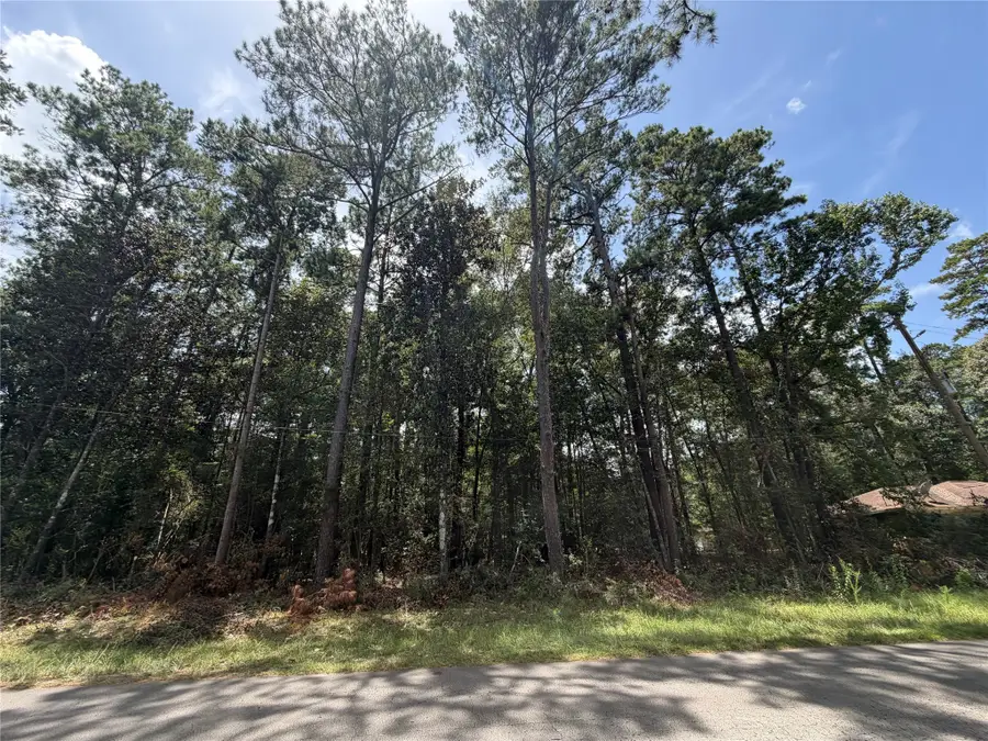 0 W Black Gum Drive, Village Mills, TX 77663 - #3