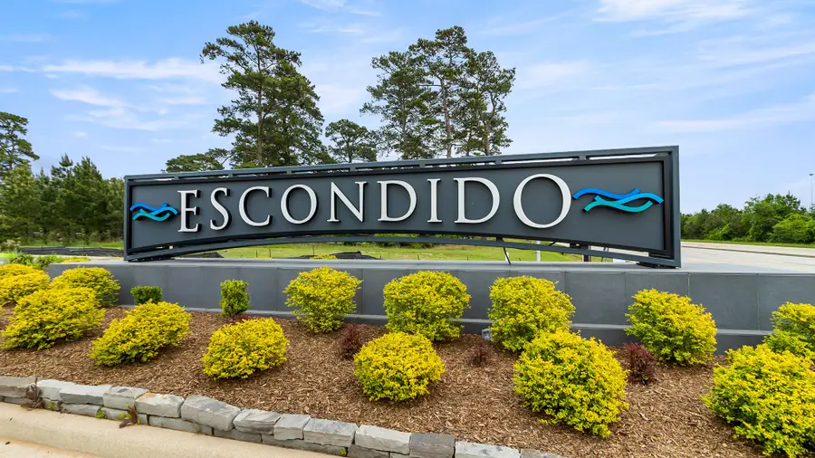 42834 Terraza Boulevard, Magnolia, TX 77354 - #3