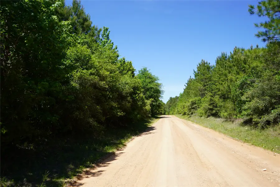 0001 E Tbd Schwab Rd / Sh 146 Road, Livingston, TX 77351 - #3