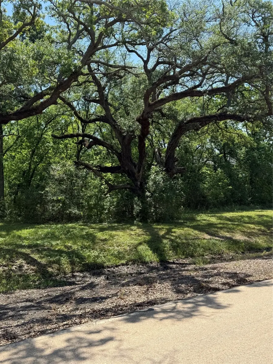 21910 Chenango Lake Drive, Angleton, TX 77515 - Image #2