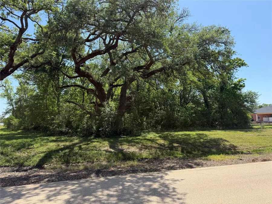 21910 Chenango Lake Drive, Angleton, TX 77515 - Image #3