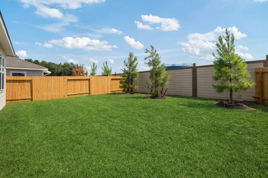 10374 Red Cardinal Drive, Cleveland, TX 77328 - Image #2