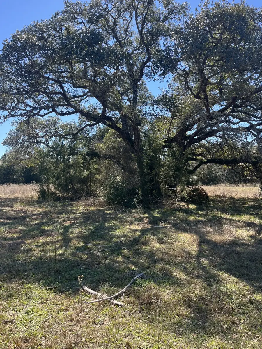 1165 Cr 213 Tract 2, Weimar, TX 78962 - #2