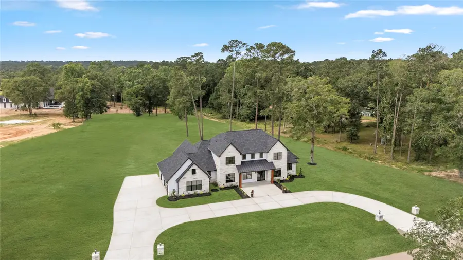 18284 Woodstream Crossing Road, Montgomery, TX 77316 - #2