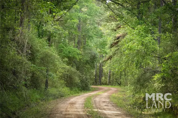 00 County Road 4690, Kennard, TX 75847