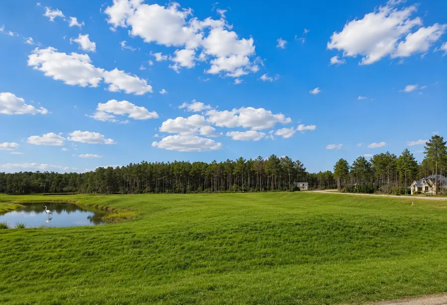 15525 Forest Grove Drive, Willis, TX 77378 - #3