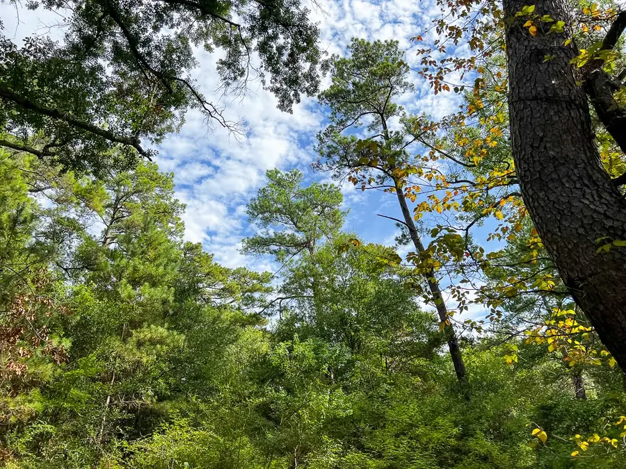 7045 State Highway 75, Huntsville, TX 77340 - #3