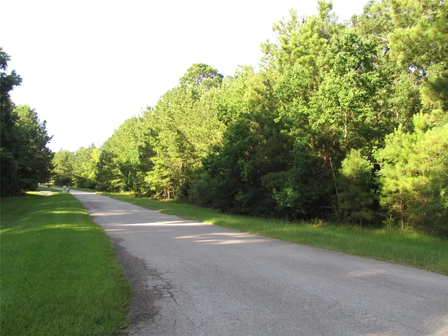 28046 Crossway Oaks, Magnolia, TX 77355 - Image #3