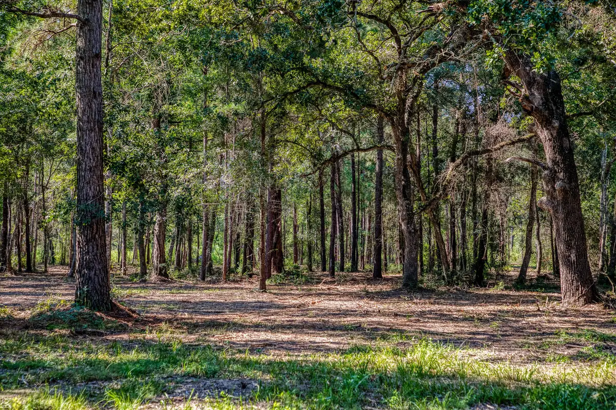 31801 Reids Prairie Road, Waller, TX 77484 - #1