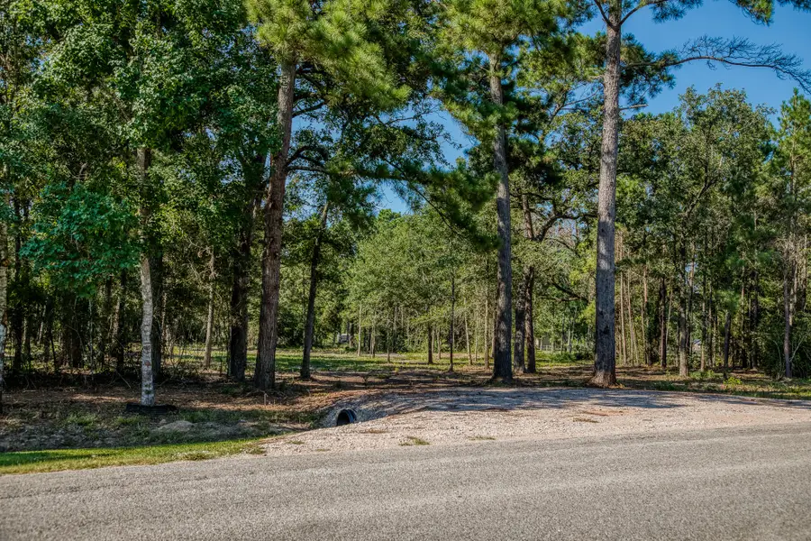 31801 Reids Prairie Road, Waller, TX 77484 - #2