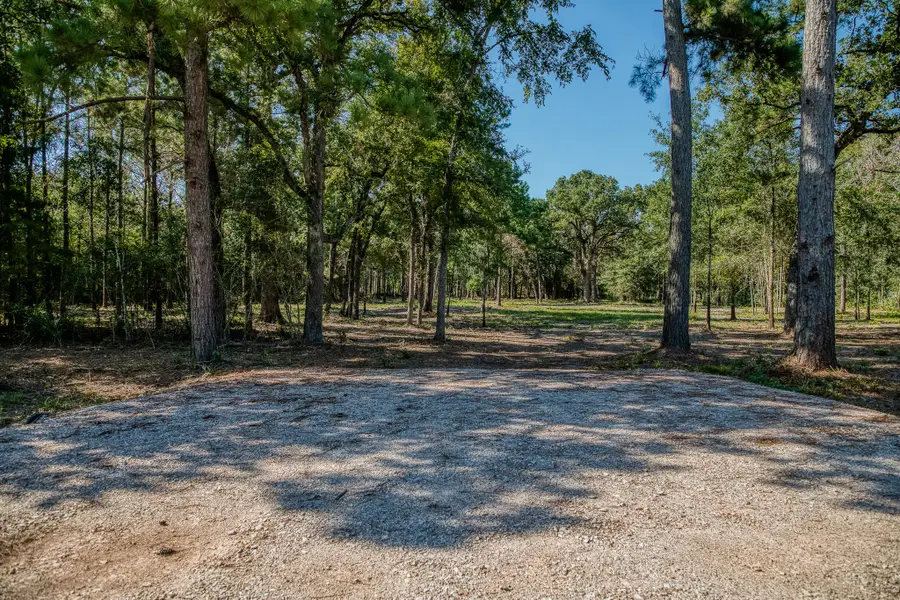 31801 Reids Prairie Road, Waller, TX 77484 - #3