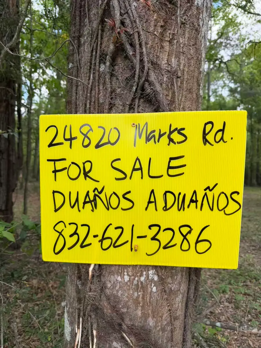 24820 Marks Road, Splendora, TX 77372 - #3