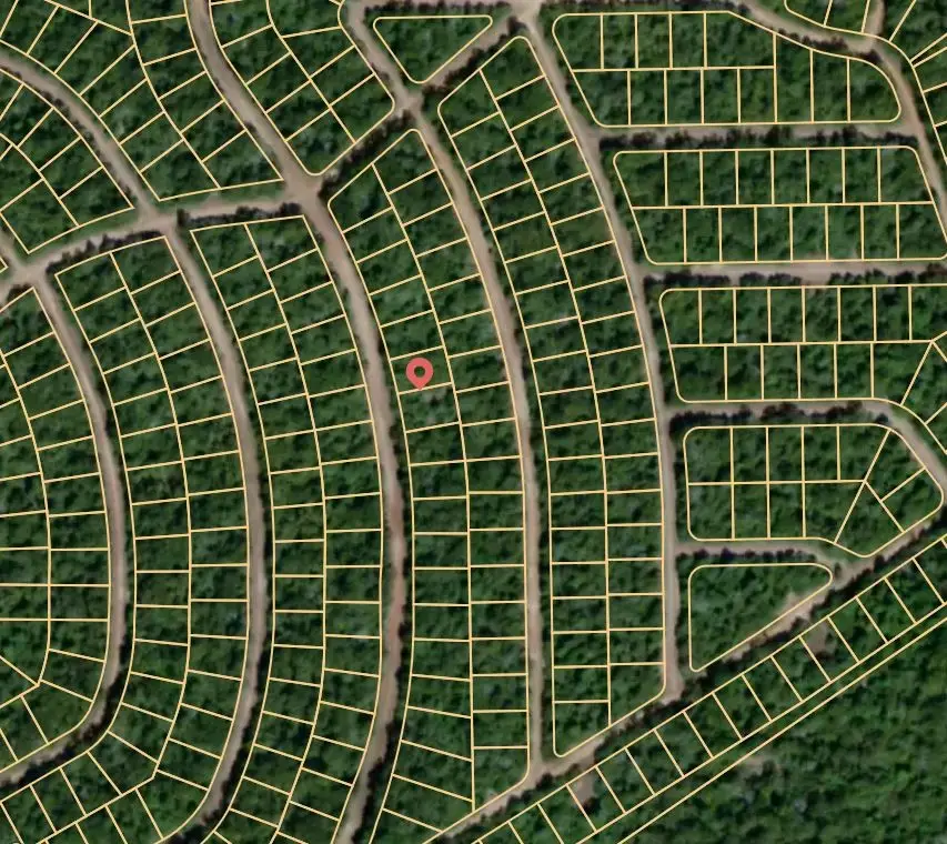 Lot 32 Hickory Ridge Drive, Normangee, TX 77871 - Image #3