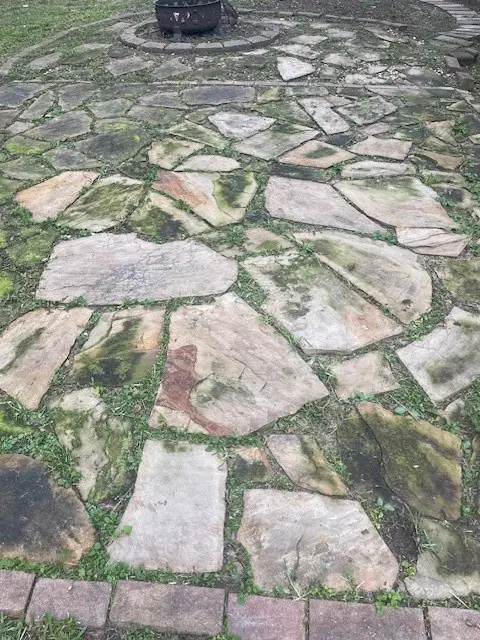 320 Oak Tree Drive, Point Blank, TX 77364 - Image #2