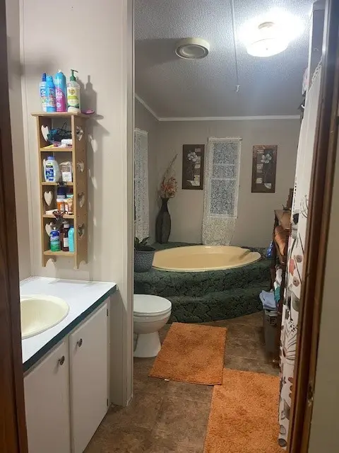 320 Oak Tree Drive, Point Blank, TX 77364 - Image #3