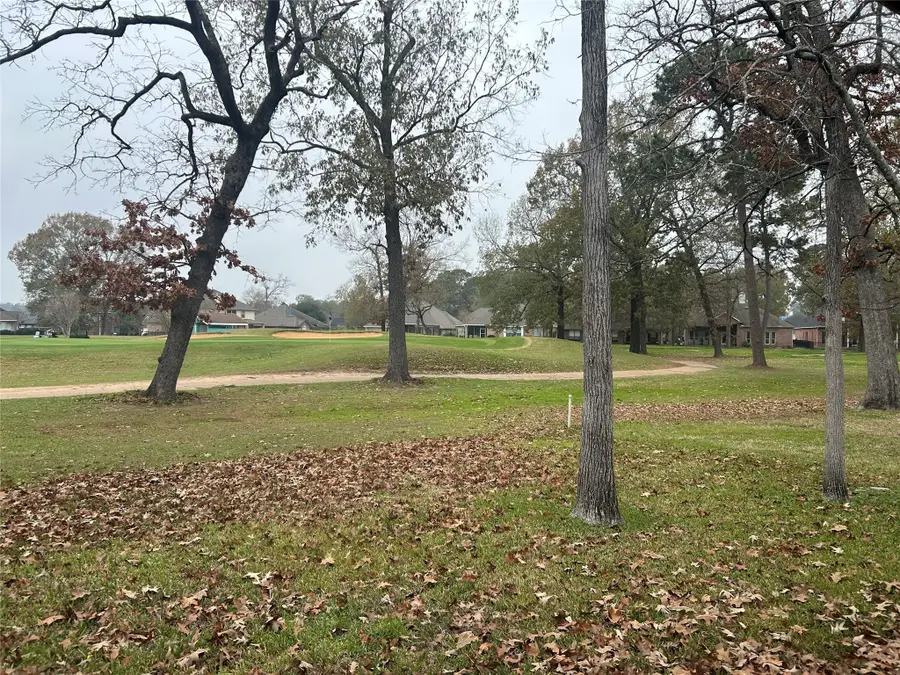 49 Presidio Road, Montgomery, TX 77356 - Image #3