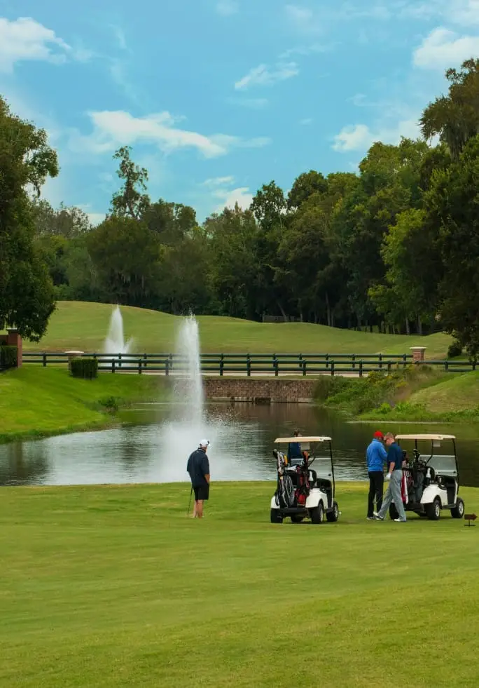 11938 Golden Cove, Missouri City, TX 77459 - #2