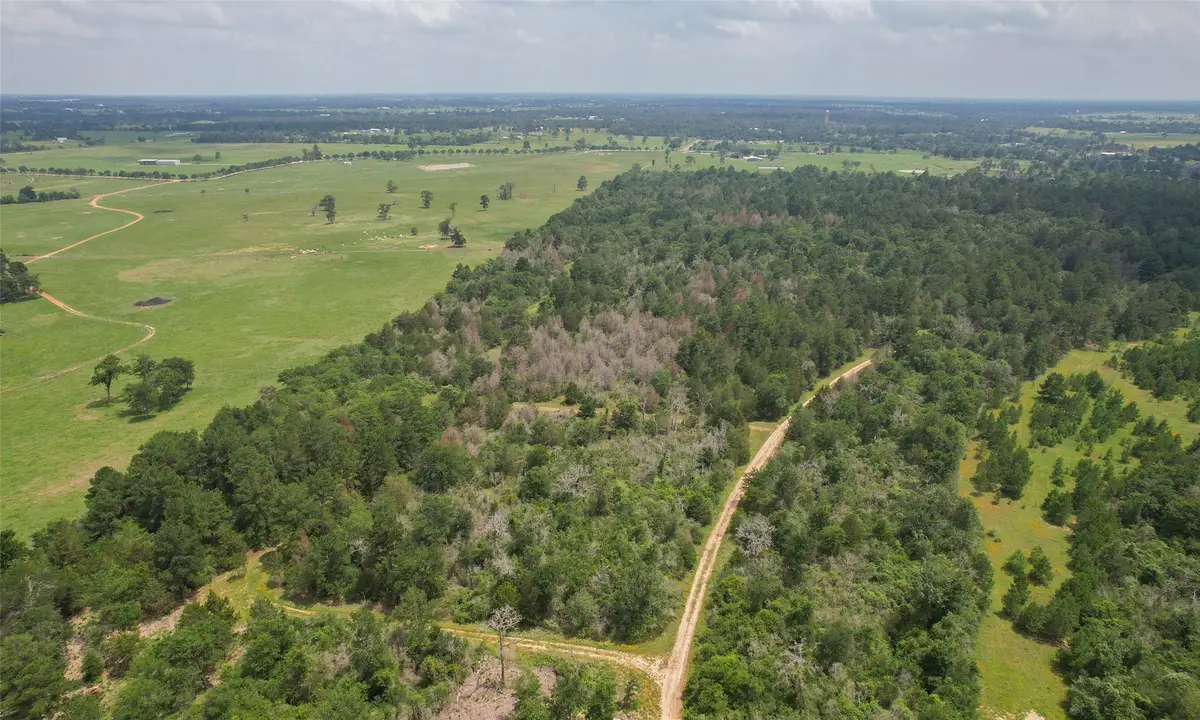 03 Cardinal, Hempstead, TX 77445 - #1