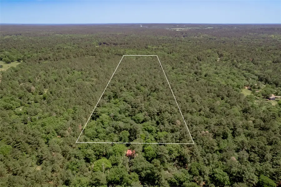 TBD Roy Webb Road, Huntsville, TX 77320 - Image #2